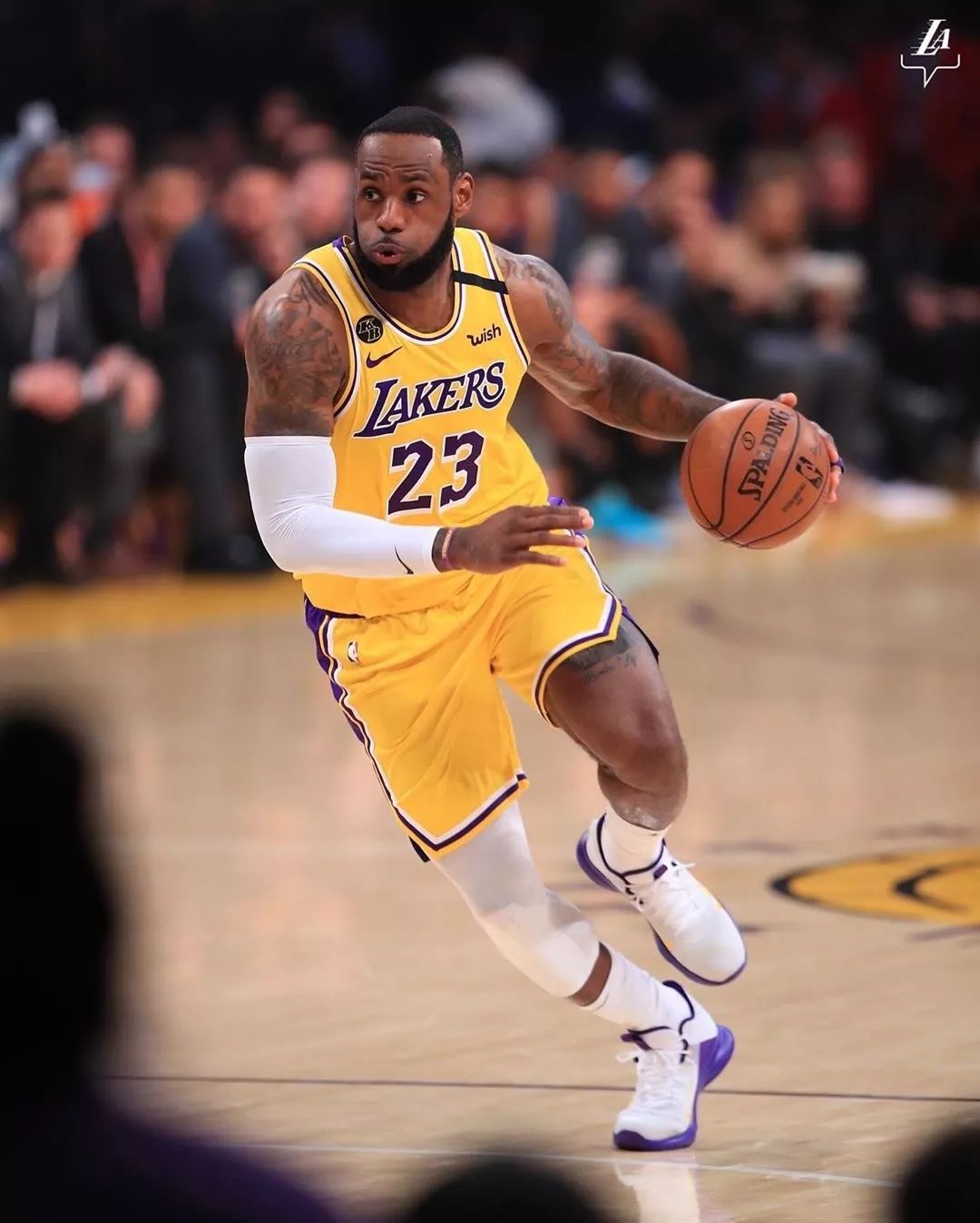 CBA新赛季156人处合同年：郭艾伦付豪领衔13位顶薪 5队11人合同年（CBA新季156人迎合同年：郭艾伦、付豪领衔13名顶薪，5队有11人处合同年）